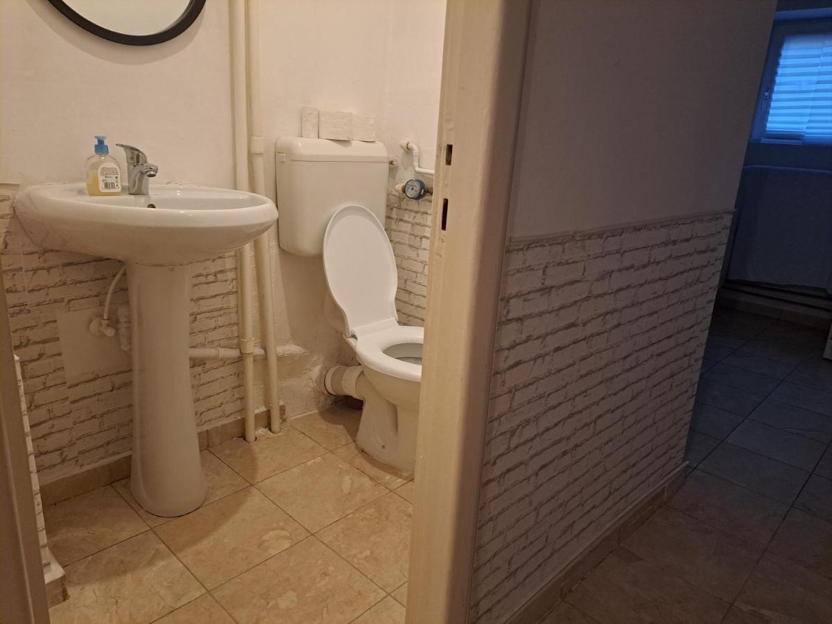 Downtown Piata Romana Apartment *